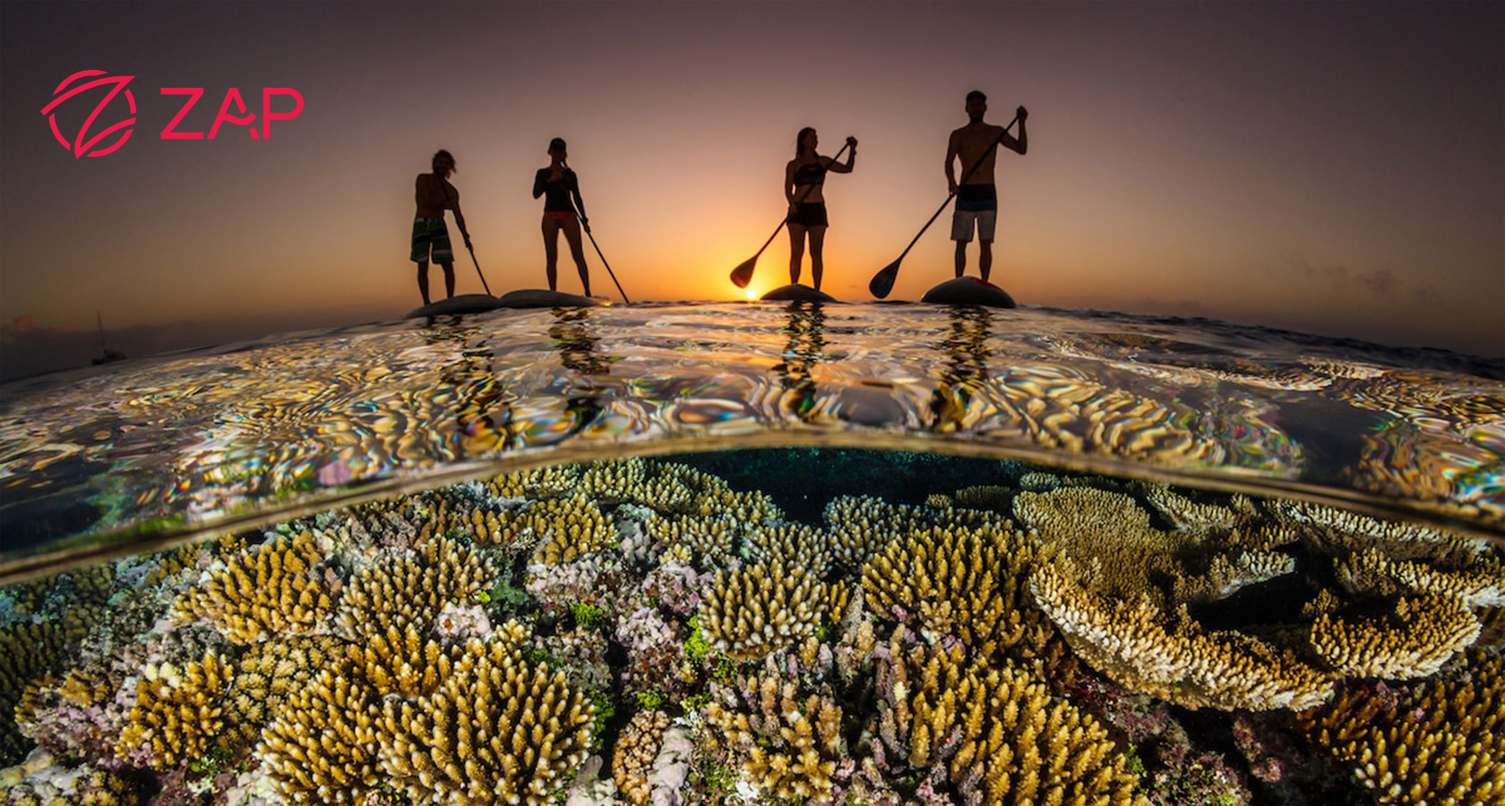 SUP paddle boards on coral reef at sunset